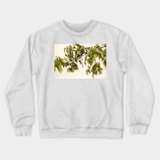 blb mackie Crewneck Sweatshirt